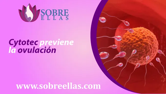 Se muestra en la imagen la ilustracion de la ovulacion