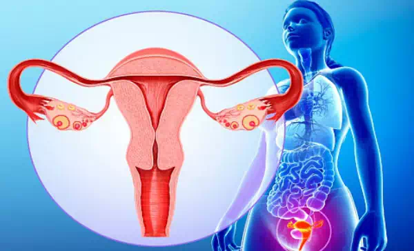Se puedes sentir cansancio o cólicos durante un día o un poco más. También tendrás sangrado y mancharás por un tiempo. La mayoría de las personas retoman sus actividades habituales el día después del aborto con medicamentos